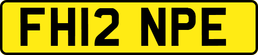 FH12NPE