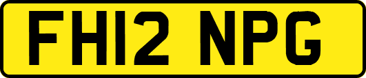 FH12NPG