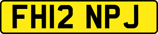 FH12NPJ