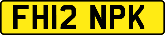 FH12NPK