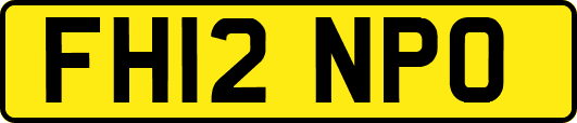 FH12NPO