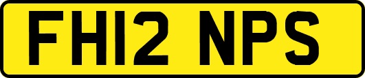 FH12NPS