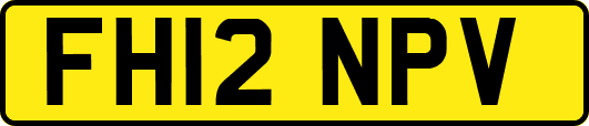 FH12NPV