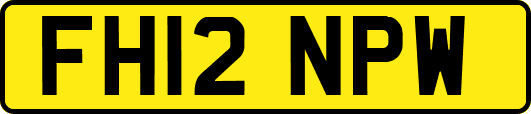 FH12NPW