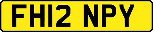 FH12NPY