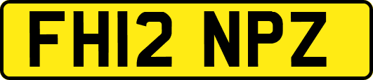 FH12NPZ