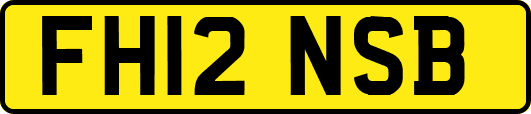 FH12NSB