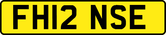 FH12NSE