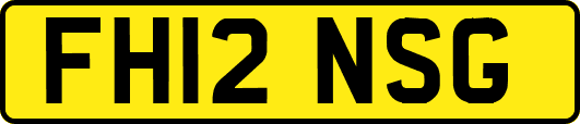 FH12NSG
