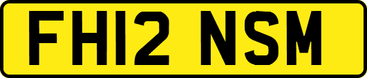FH12NSM