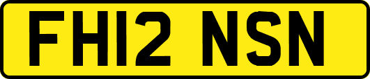 FH12NSN