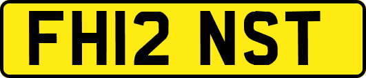 FH12NST
