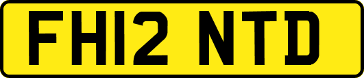 FH12NTD