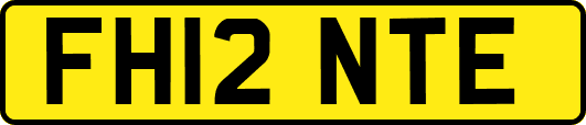 FH12NTE