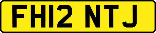FH12NTJ