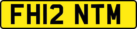FH12NTM