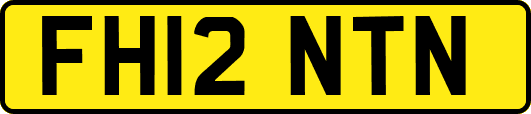 FH12NTN