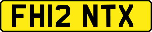 FH12NTX