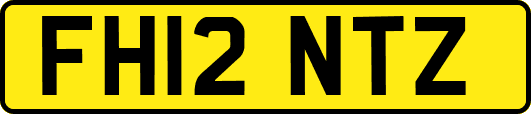 FH12NTZ