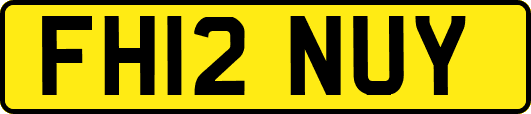 FH12NUY