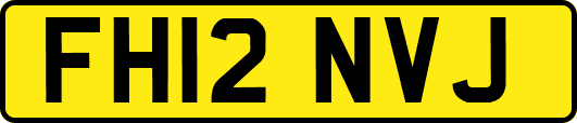 FH12NVJ