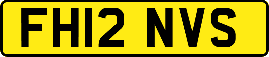 FH12NVS