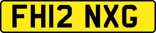 FH12NXG