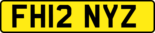 FH12NYZ
