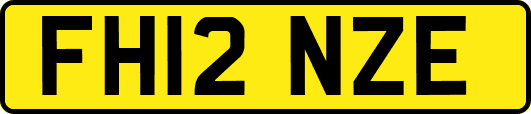 FH12NZE