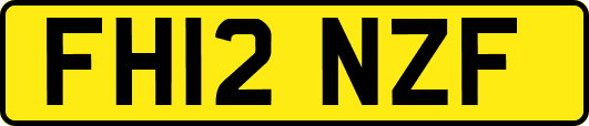 FH12NZF