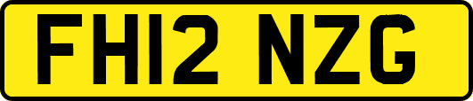 FH12NZG