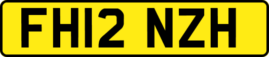 FH12NZH
