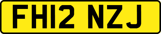 FH12NZJ