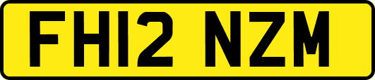 FH12NZM