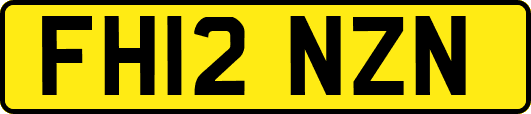 FH12NZN