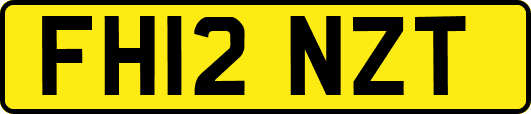 FH12NZT