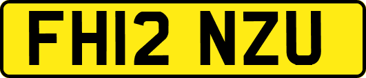 FH12NZU