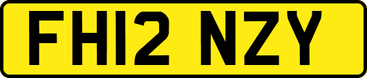 FH12NZY