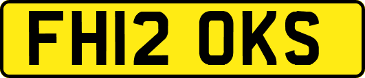 FH12OKS