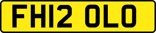 FH12OLO