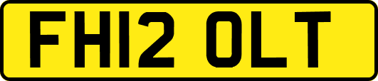 FH12OLT