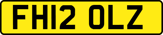 FH12OLZ