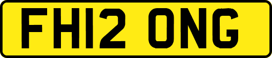 FH12ONG