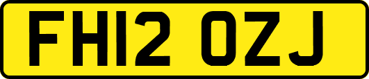 FH12OZJ