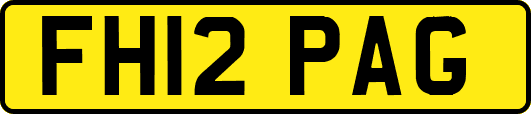 FH12PAG