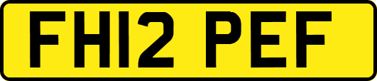 FH12PEF