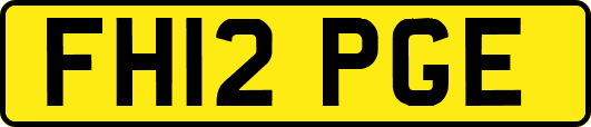 FH12PGE
