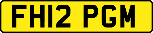 FH12PGM