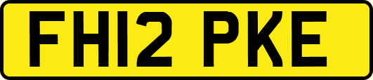 FH12PKE