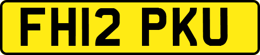 FH12PKU